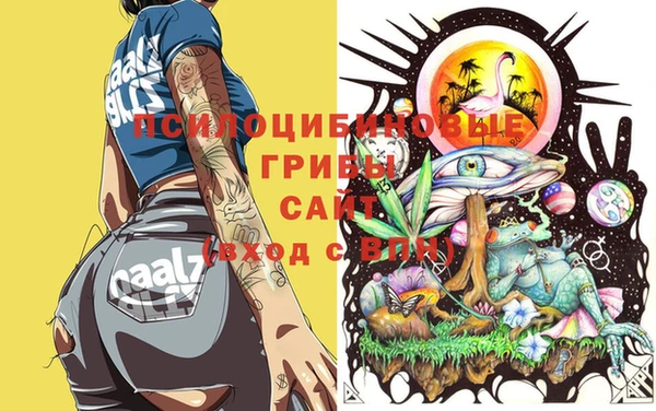 амфетамин Белокуриха